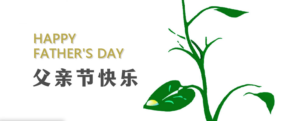 父愛(ài)無(wú)言，感恩相伴