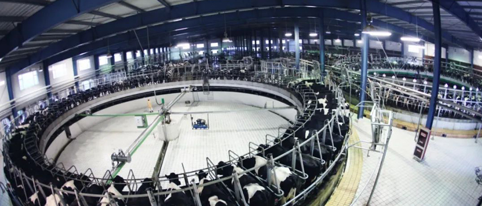 視頻AI視覺(jué)分析